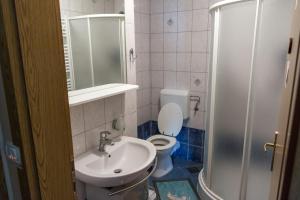 a bathroom with a toilet and a sink and a shower at Sobe in apartma Pilih in Vipava