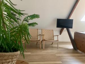 un soggiorno con 2 sedie e una TV di Zolder appartement Le Grenier a Dilsen-Stokkem