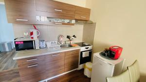 Kuchyň nebo kuchyňský kout v ubytování Apartmán Diana