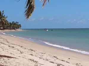 a beach with palm trees and the ocean at Casa de praia com picina 2 in São José da Coroa Grande