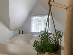 Un dormitorio con una cama con una planta en una cesta en Zolder appartement Le Grenier, en Dilsen-Stokkem