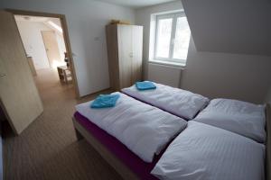 a bedroom with two beds with blue pillows on them at Vila Aneta in Luhačovice