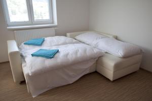 Postel nebo postele na pokoji v ubytování Vila Aneta
