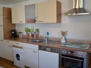 a kitchen with a sink and a dishwasher at Ferienwohnung Wanderglück in Mössingen