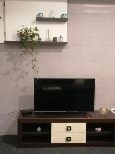 TV a/nebo společenská místnost v ubytování Apartman Centar 2