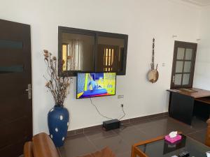 科托努的住宿－Cozy Apartment，客厅配有蓝色花瓶和墙上的电视