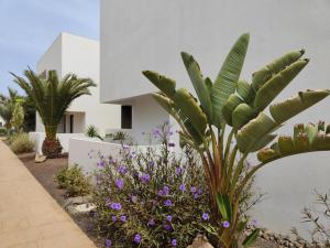 A garden outside Marta & Lorenzo Apartment. Fuerteventura