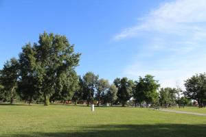 Golf v ubytování v soukromí nebo okolí