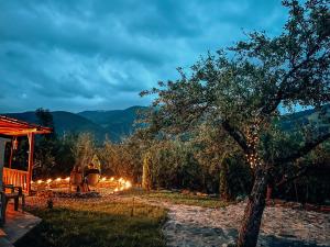 Pokrajina v okolici B&B-ja
