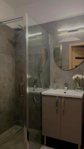 ein Bad mit einem Waschbecken, einer Dusche und einem Spiegel in der Unterkunft Parkcity Kraków in Krakau