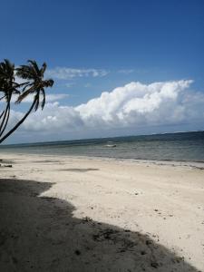 ムトワッパにあるPorini furnished homes, Mombasa, North coast, Mtwapa, Kanamaiの海沿いの砂浜のヤシの木