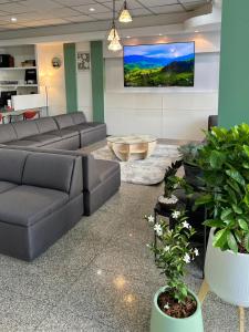 a living room with couches and potted plants at Marni BKK Hostel in Bangkok