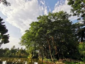 Природа в окрестностях курортного отеля