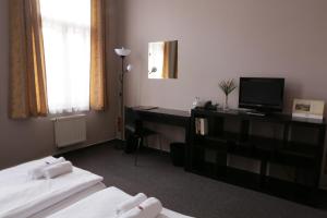 TV a/nebo společenská místnost v ubytování Hotel Zlatá Štika + 21 fotografií