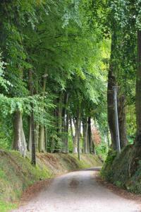 eine unbefestigte Straße in einem Wald mit Bäumen in der Unterkunft Gîte, Le Séchoir à Lin demeure de charme 