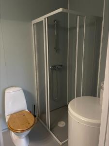 Ένα μπάνιο στο Small and cosy with free parking +13 φωτογραφίες