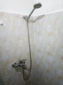 a shower with a shower head in a bathroom at Moringa Garden Cottage in Mtwapa
