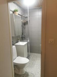 a bathroom with a toilet and a sink at Kaksio keskustan kupeessa in Jyväskylä