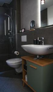 ein Bad mit einem Waschbecken und einem WC in der Unterkunft Albsommer - Fehlatal Ferienhäuser in Burladingen