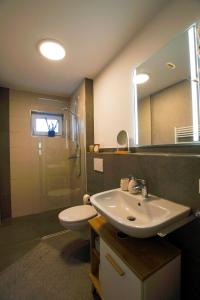 a bathroom with a sink and a toilet and a mirror at Albsommer - Fehlatal Ferienhäuser in Burladingen