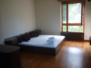 ein Schlafzimmer mit einem Bett in einem Zimmer mit einem Fenster in der Unterkunft Aquincum Dunaparti Apartman in Budapest