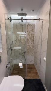 a bathroom with a glass shower with a toilet at The SiXth in Tukums