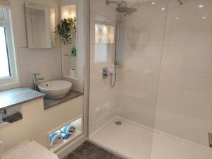 a bathroom with a shower and a sink at Hazel in Bovey Tracey