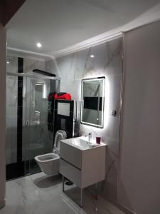 een badkamer met een wastafel, een toilet en een douche bij Edifício 2PALMA in Praia