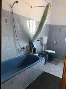 een badkamer met een blauw bad en een toilet bij Aires Orchard Holiday Apartment 