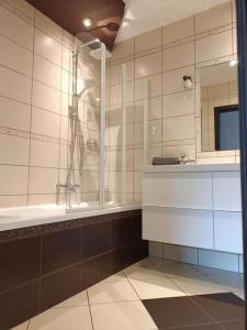 y baño con ducha, lavabo y espejo. en Apartament u Oli i Laury, en Cracovia