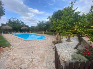 a backyard with a pool and an orange tree at Casa Rural Pili Mallorca in Felanitx