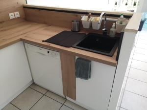 a kitchen with a counter with a sink and a dishwasher at Casa Papidou, Charmante Maison au calme in Jonage