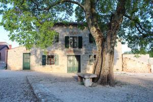 a bench sitting under a tree in front of a building at Villa Antonci-18, pool, 3 houses, jacuzzi, private territory in Antonci