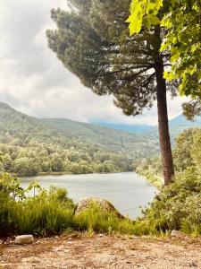 uma vista para um lago com uma árvore em El latido del Tiétar em Lanzahita