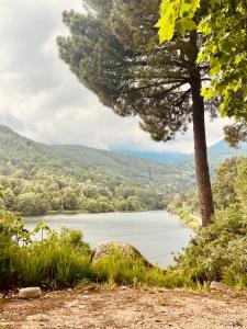 a view of a lake with a tree at El latido del Tiétar in Lanzahita