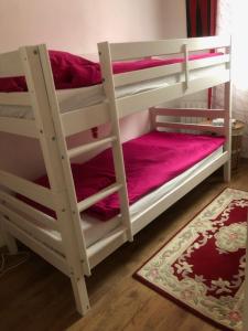 a pair of bunk beds in a room with a rug at Nice Apartment ideal to visit Paris in Clichy