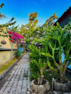 a cobblestone street with trees and plants on it at Creative Bungalow in Gili Trawangan