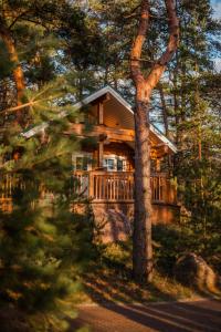 a log cabin in the woods with trees at Sea Home Cottages in Ozerki