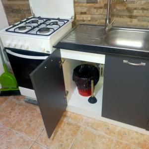 Кухня или мини-кухня в Vila ELENA Ap 1
