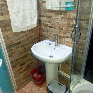 y baño con lavabo y ducha. en Vila ELENA Ap 1, en Bucarest