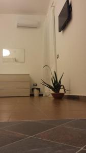 een kamer met een potplant en een televisie bij Peri Peri Holiday Home - Siracusa in Solarino
