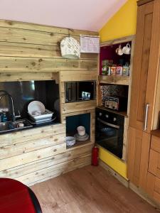 cocina con paredes de madera, fregadero y fogones en Hen House, en Hastings