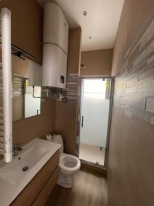 ein Bad mit einem WC, einem Waschbecken und einer Dusche in der Unterkunft En face du Stade de France in Saint-Denis