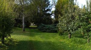 Zahrada ubytování Casa Filaferro