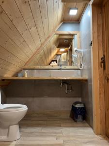 an attic bathroom with a toilet and a sink at Zakodomki Domek Szałas in Kościelisko