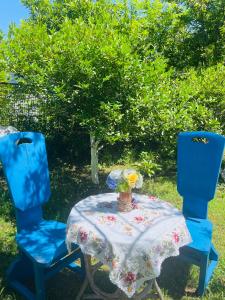 two blue chairs and a table with a vase of flowers at Hotel Tramonto in Chakvi