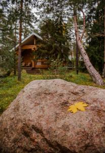 a leaf on a rock with a cabin in the background at Sea Home Resort in Ozerki