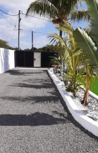 une allée avec un garage et un palmier dans l'établissement Villa Bella Quatre Cocos, à Trou dʼ Eau Douce