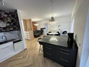 Η κουζίνα ή μικρή κουζίνα στο Apartament na Irysowej +18 φωτογραφίες
