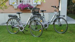 deux vélos garés l'un à côté de l'autre sur l'herbe dans l'établissement Villa Liberty B&B, à Fano